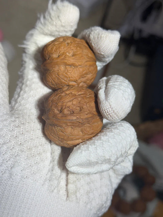 Premium Collector-Grade Walnut Pair